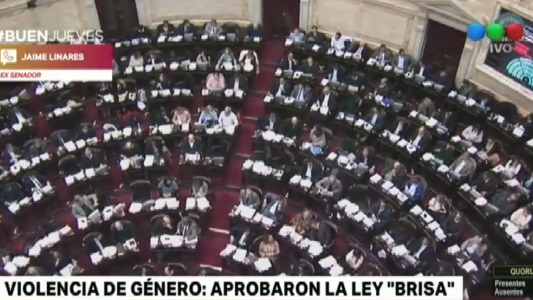 Diputados aprobó la "Ley Brisa": ordena una reparación económica para hijos de víctimas de femicidios