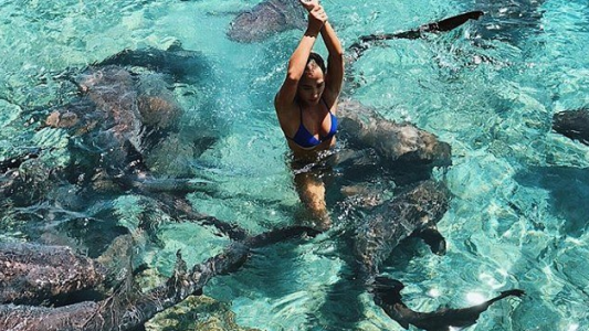 Fotos: una modelo se quiso sacar una foto con tiburones y fue atacada por uno de ellos