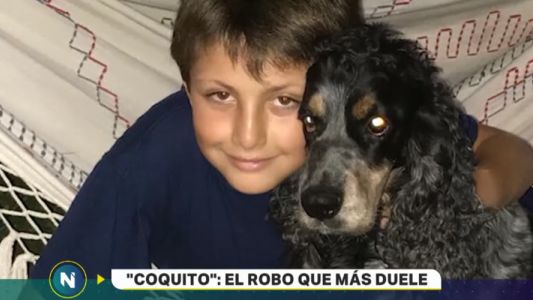 Empapelaron La Plata ofreciendo recompensa para encontrar a "Coquito"