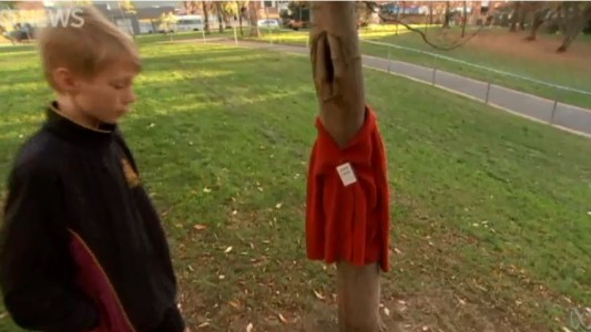 Deja ropa de abrigo en los árboles para los indigentes: "Si lo necesitas, llévatelo"