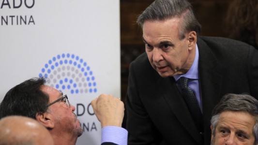 Aborto legal: Pichetto aseguró que "el 8 de agosto la ley va a salir"