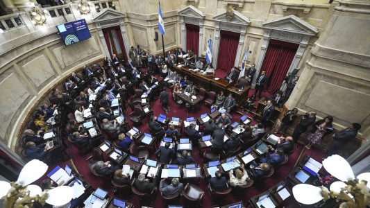 Aborto: sin dictamen, el Senado debatirá el proyecto que se aprobó en Diputados