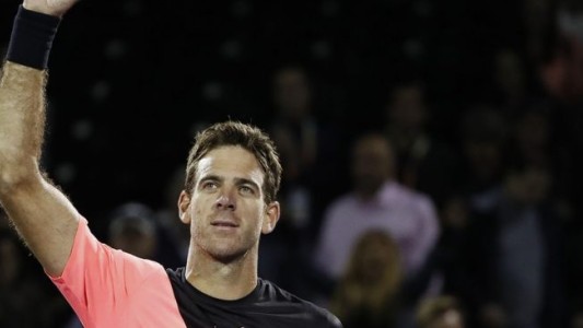 Duro triunfo de Del Potro que sueña con ser top 3