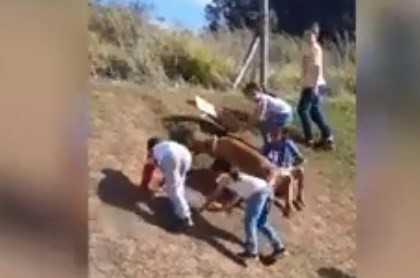 Video viral: el perro que juega como si fuera un nene más