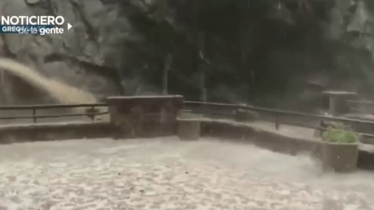 Tres animales de un zoológico murieron durante una tormenta de granizo