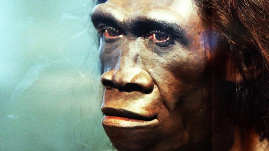 Aseguran que el Homo erectus se extinguió por "vago"