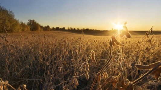 La actividad económica cayó 6,7% en junio