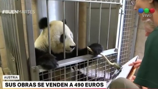 Oso panda pintor vende sus obras a 490 euros