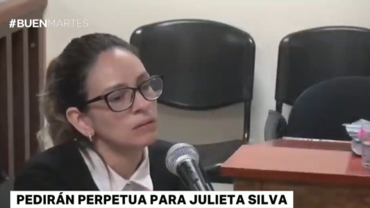 El crimen del rugbier: pedirán perpetua para Julieta Silva