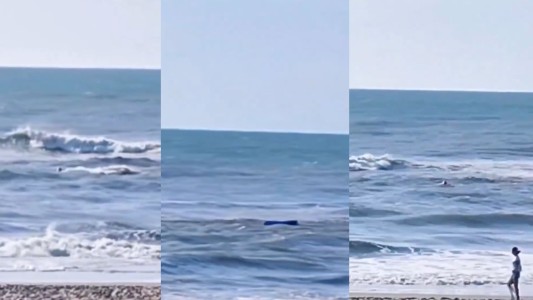 Denunciaron a un guardavida por no rescatar a un kayakista en peligro