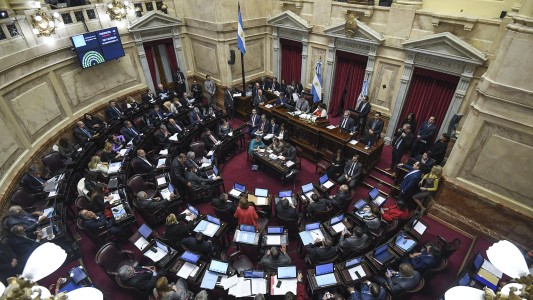 En una sesión histórica, el Senado definirá si se legaliza el aborto