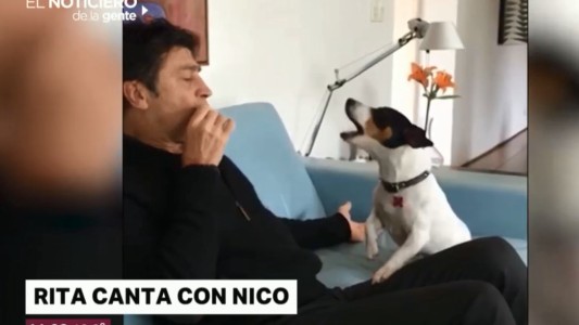Rita, la perra "cantora" de Nicolás Repetto