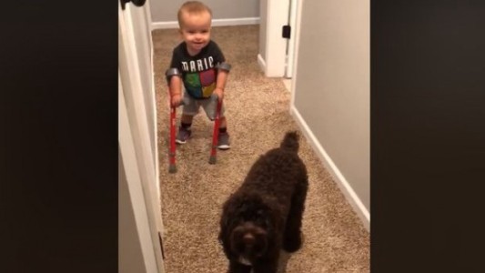 La conmovedora historia de lucha de Román que conmueve a las redes sociales