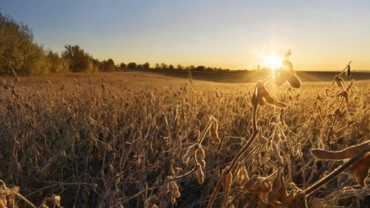 La actividad económica cayó 6,7% en junio