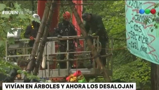 Alemania: desalojan a ecologistas que vivían en árboles