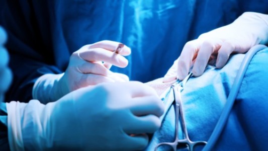 Encontraron un gusano vivo de 10 centímetros de largo en el cerebro de un joven