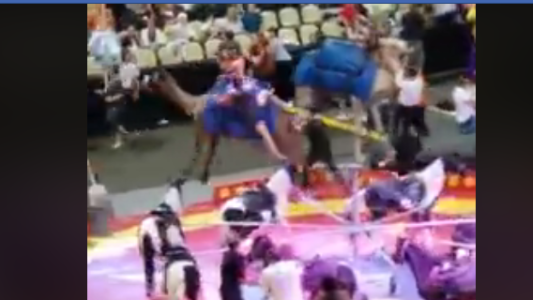 Fuerte video: un camello sacado hirió a varios espectadores en un circo