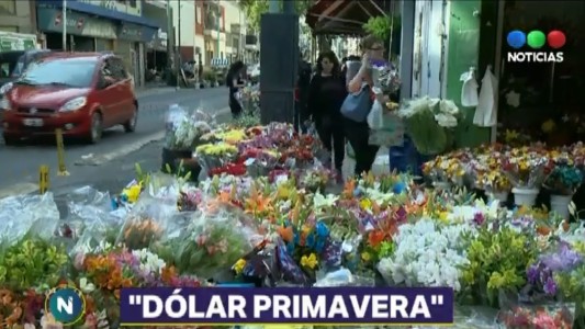 Llega el dólar "primavera" con el índice flores ¿hubo tradicional festejo?