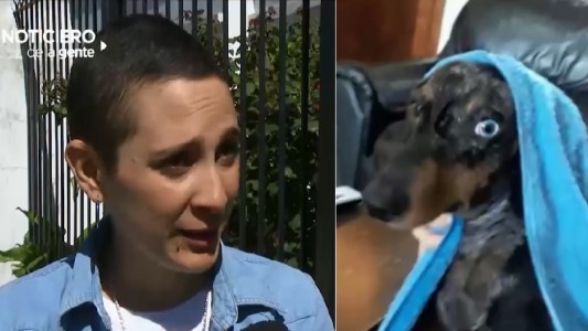 Ofrece su auto a quien le devuelva el perro que la acompañó en la lucha contra el cáncer