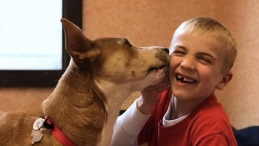 La historia del nene que salvó de morir a 1200 perros