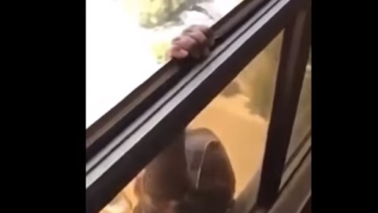 Cárcel para la mujer que en vez de ayudar, grabó a su empleada doméstica cayendo desde un séptimo piso