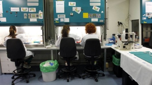 España: lograron eliminar el virus del VIH en seis pacientes a través del trasplante de células madres