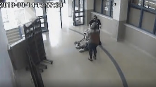 Video: una maestra y una enfermera arrastraron a un nene con autismo y a su perro guía