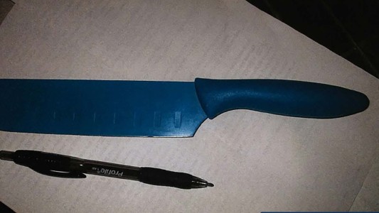 Detenidas en la escuela: tras ver una película de terror, planearon matar a compañeras y tomar su sangre