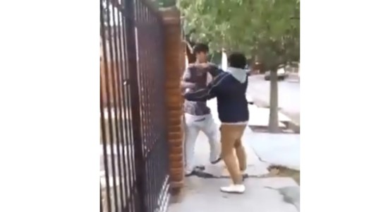 Video: un perro muerde sin piedad a unos borrachos en plena pelea callejera