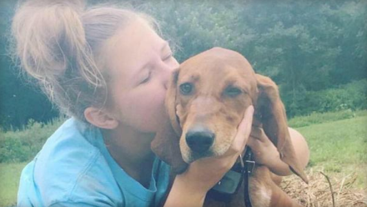 Tristeza: una nena quiso salvar a su perro pero ambos murieron atropelldos