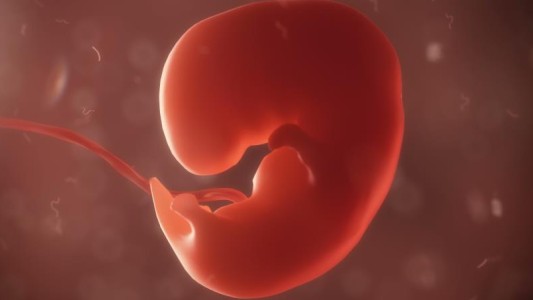 Polémica en EE:UU: una mujer quiere cambiar en Facebook su embrión de una nena por otro de un nene