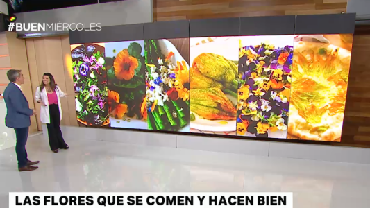 Flores que se comen y hacen bien