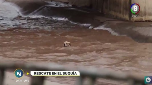Córdoba: impresionante rescate de un hombre y un perro en el río