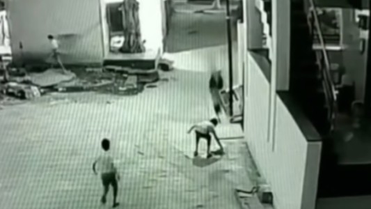 Mi amigo fiel: cayó de gran altura, impactó sobre otro nene y se salvó