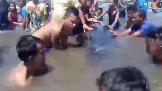 Emotivo rescate de una ballena