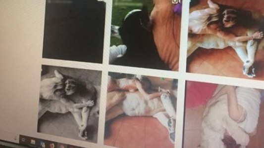España: acusan a una pareja de utilizar a un león para sacarse fotos eróticas