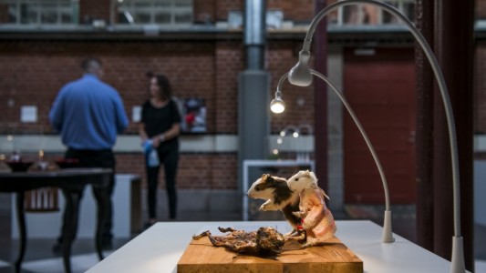 Video: pene de toro, queso de gusano y más "delicias"