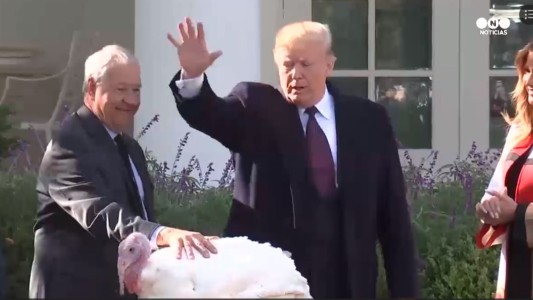 Un pavo en la Casa Blanca