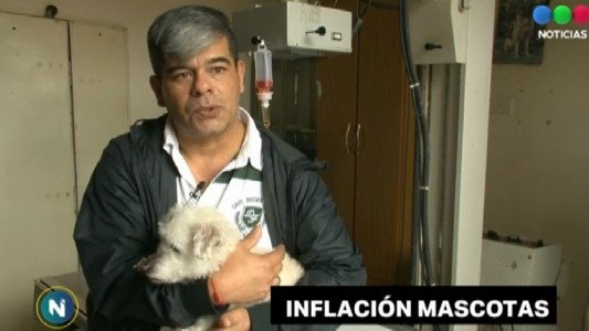 “Inflación mascota”: ¿cuánto cuesta mantener un animal?