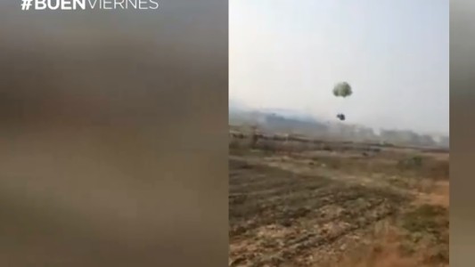 El pollo que cayó del cielo