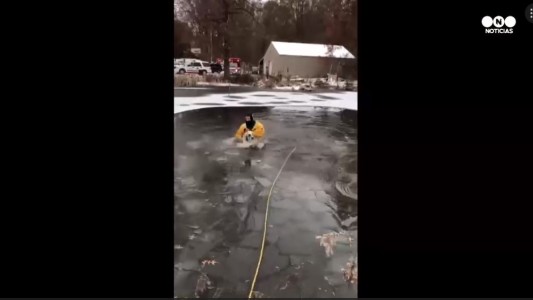 Dramático rescate de un perro que había caído en un lago congelado