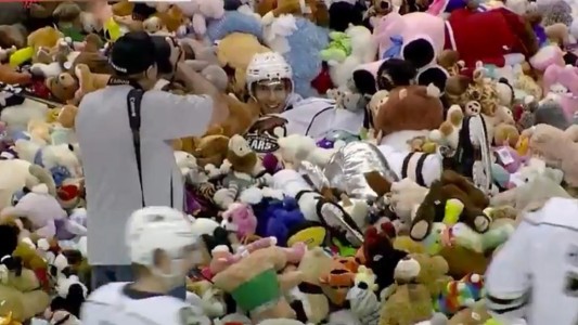 Récord de ositos de peluche