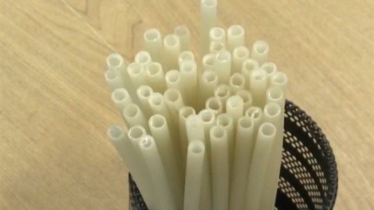 Diario de la guerra contra el plástico (1): sorbetes de arroz