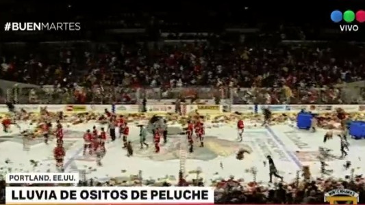 Lluvia de más de 10 mil ositos de peluche