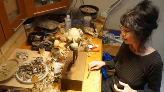 La artista que trabajó 15 años en una obra con mejillones, sin saber que la estaba matando lentamente