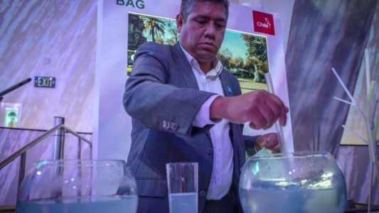 Crearon una bolsa de supermercado que desaparece en 3 minutos