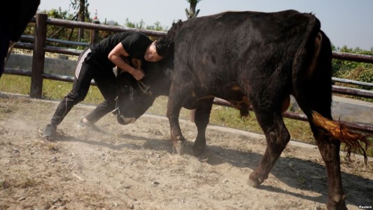 El torero Kung Fu: una práctica un poco más toro friendly