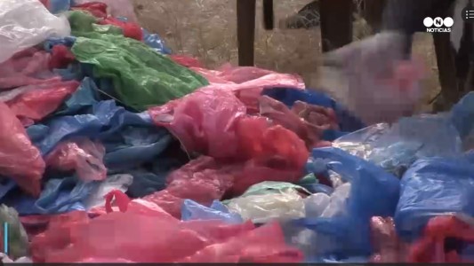 Un mar de bolsas de plástico