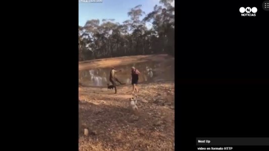 Cuidado con el canguro