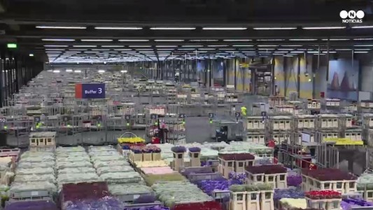 El increíble funcionamiento del mercado de flores de Holanda